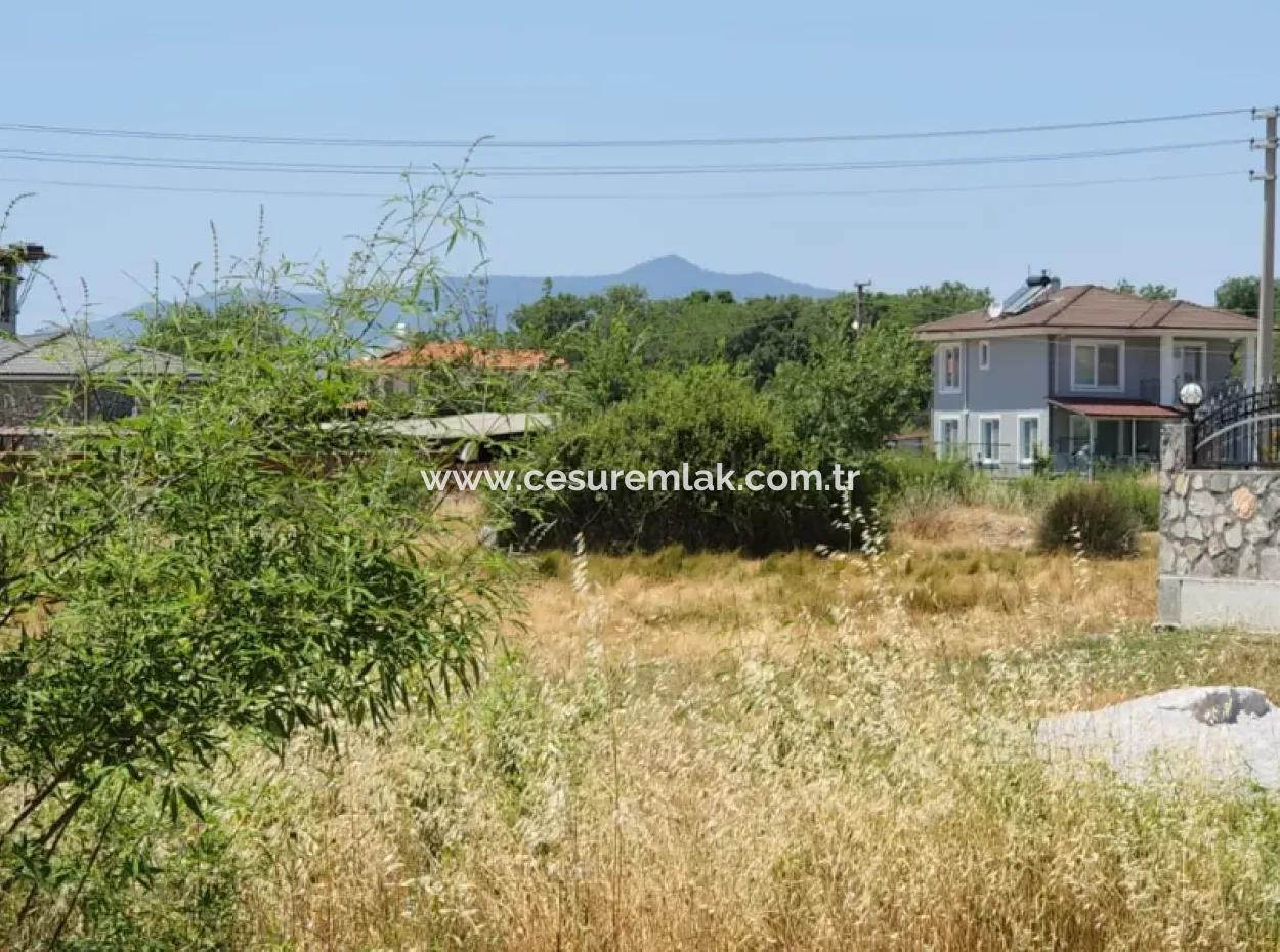 Grundstück Zum Verkauf Hinter Çınar Von Cesur Real Estate Ref.code:ça164
