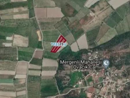 10003M2 Field Refkod Zum Verkauf In Ortaca Mergenli:sk737