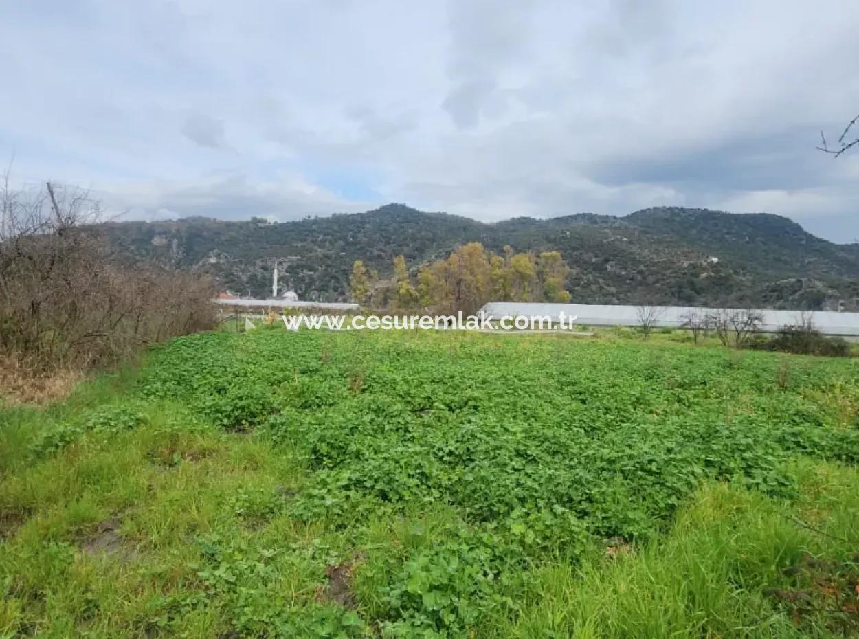 1000M2 Land For Sale From Cesur Real Estate Ref.code:gdk867