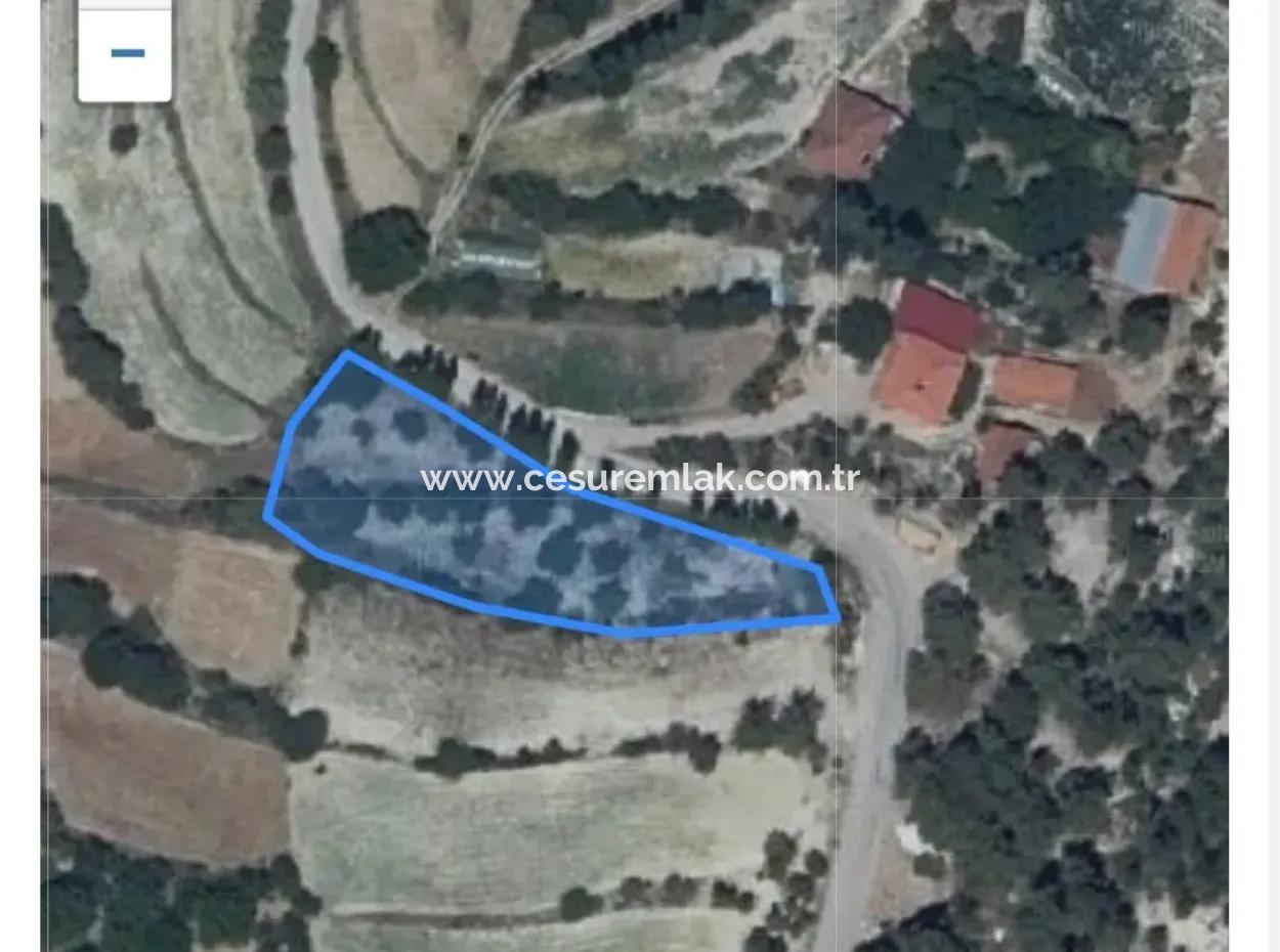 1870M2 Field For Sale In Çameli From Cesur Emlak Ref.code:bda165