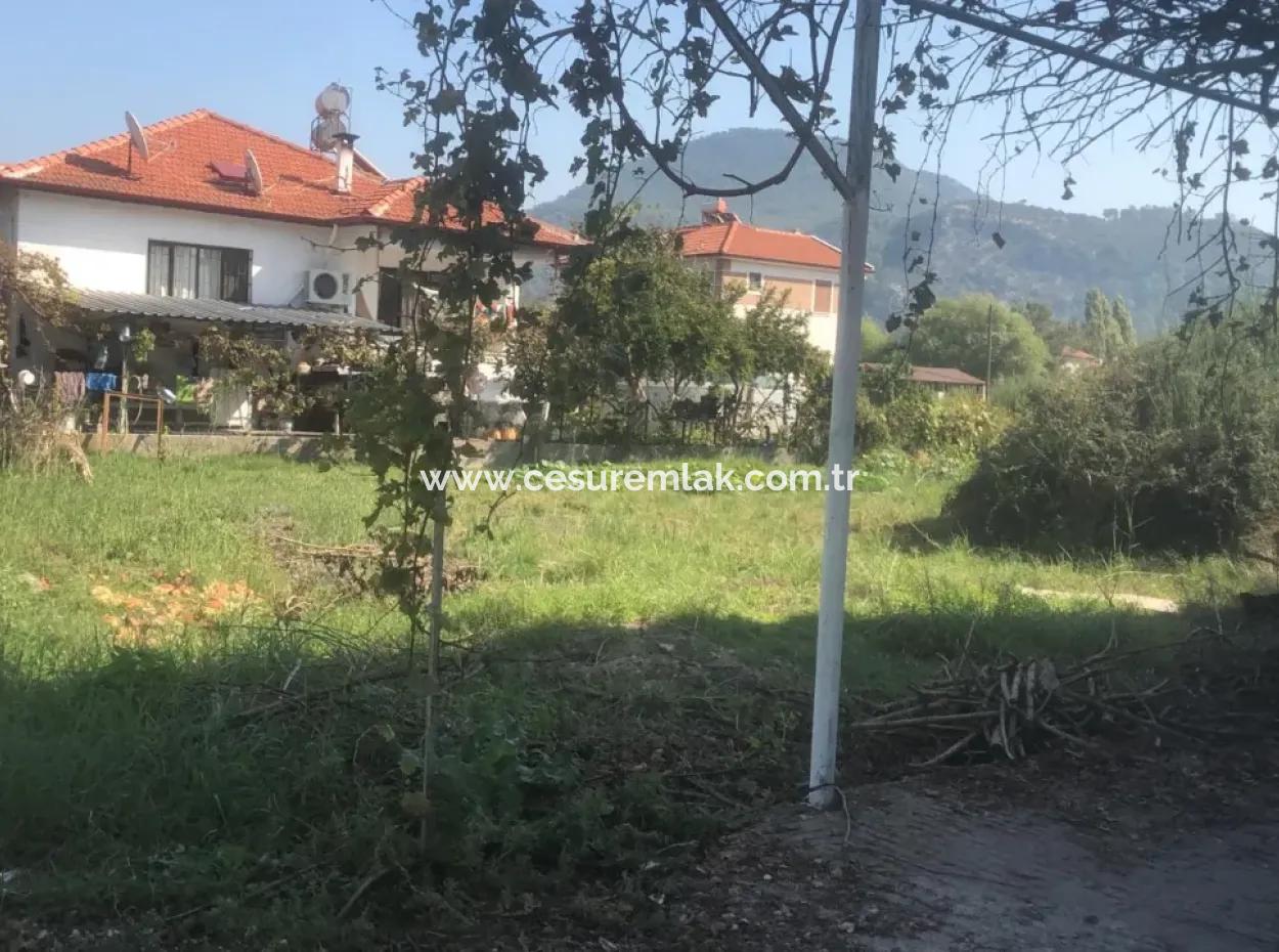 500M2 Land In Dalaman Karaçalı For Sale From Cesur Emlak