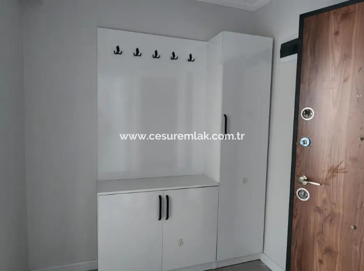 Vacant 1 1 Apartment For Rent From Cesur Real Estate Ref.code:6753