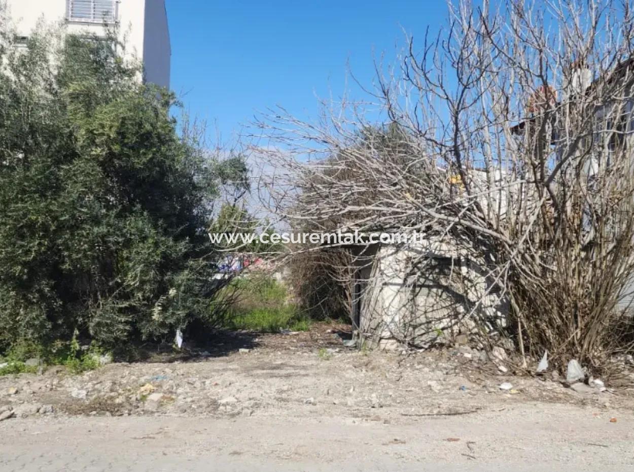 @-4 Floors 280M2 Land From Cesur Real Estate Ref.code:dma1185