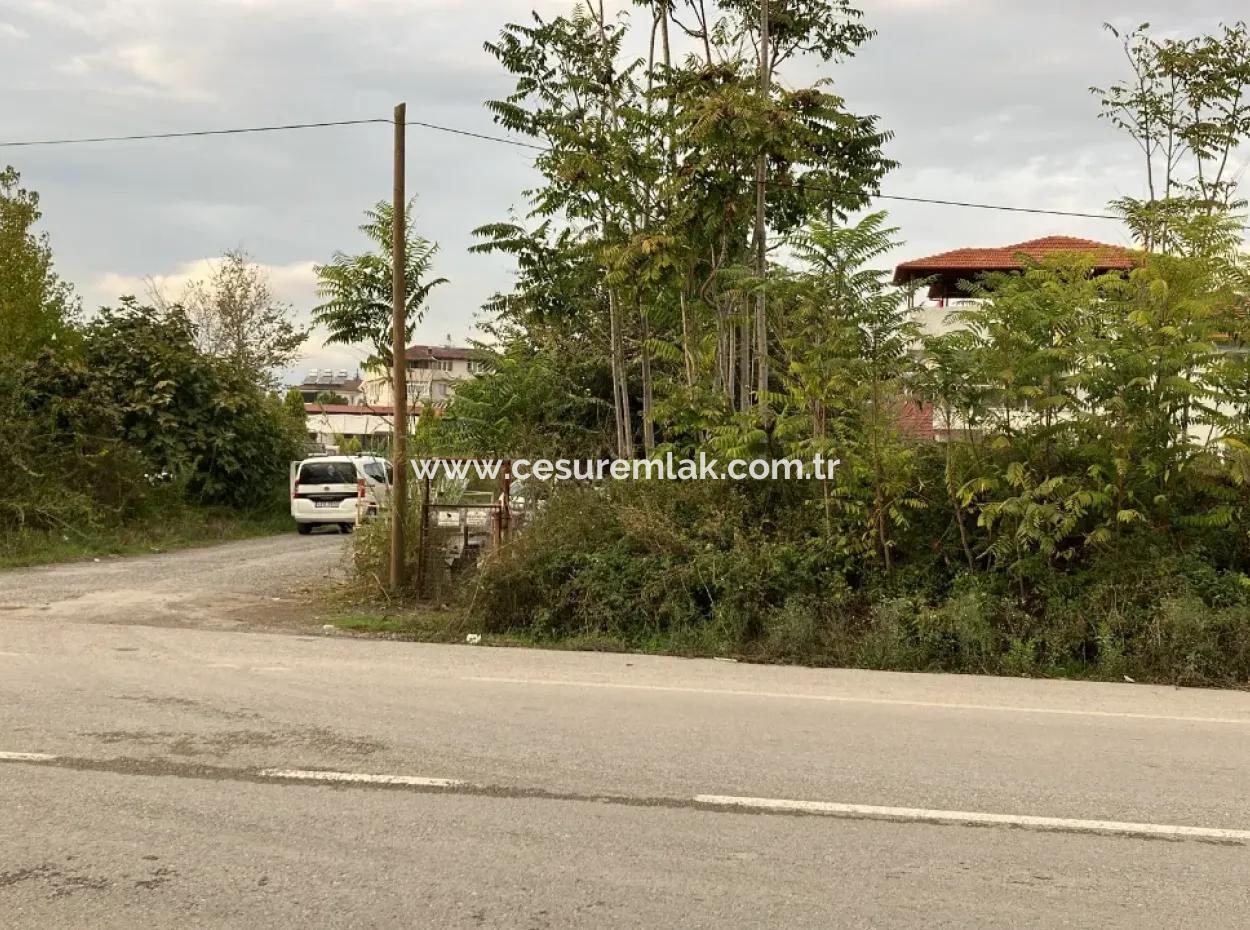 Land For Rent From Cesur Real Estate To Industrial Road Refcode:dma1198