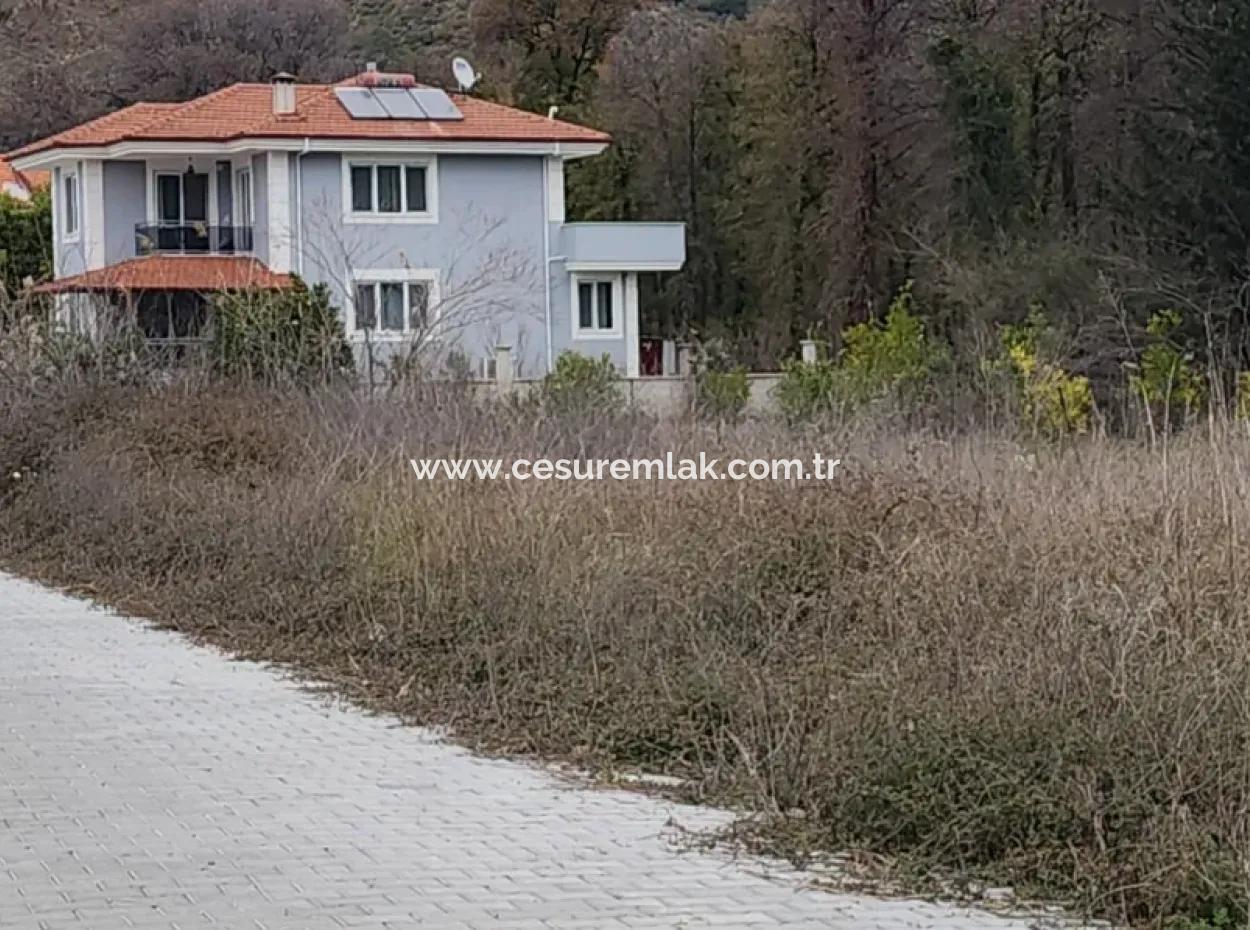 403M2 Plot With Daily Forest View For Sale From Cesur Real Estate