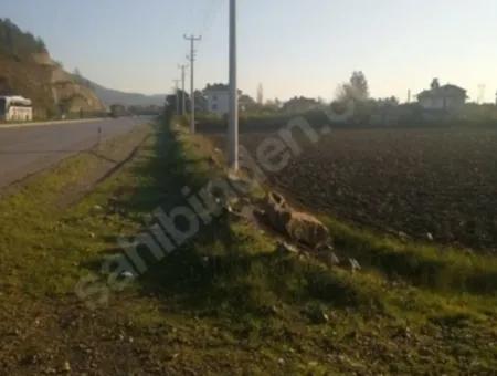 8797M2 Field Ref.code For Sale In Atakent From Cesur Real Estate:dma1107