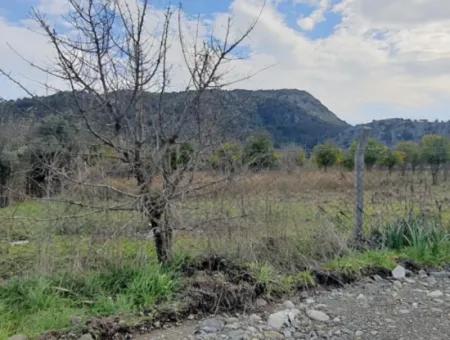 3283M2 Land For Sale From Cesur Real Estate Ref.code:gdk402