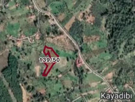 5742M2 Field Ref.code For Sale In Kayadibi From Cesur Real Estate:gdk814