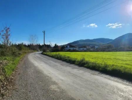 1950M2 Land Plot For Sale In Fevziye From Cesur Emlak Ref.code:sk817