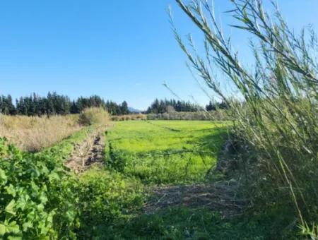 1950M2 Land Plot For Sale In Fevziye From Cesur Emlak Ref.code:sk817