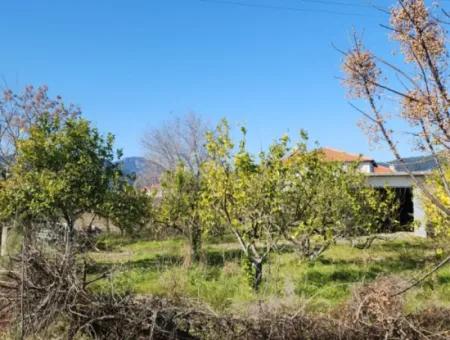 501M2 Land Plot For Sale In Güzelyurt From Cesur Emlak Ref.code:sk816