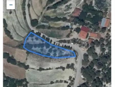 1870M2 Field For Sale In Çameli From Cesur Emlak Ref.code:bda165