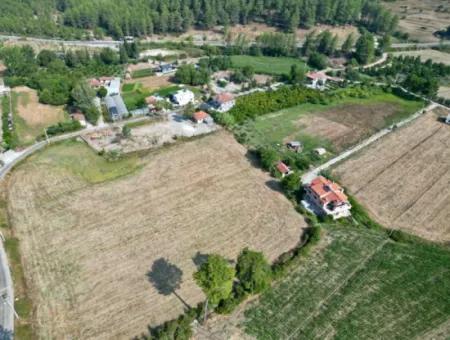 9743M2 Land For Sale In Dalaman Karacacağaç From Cesur Emlak:gdk428