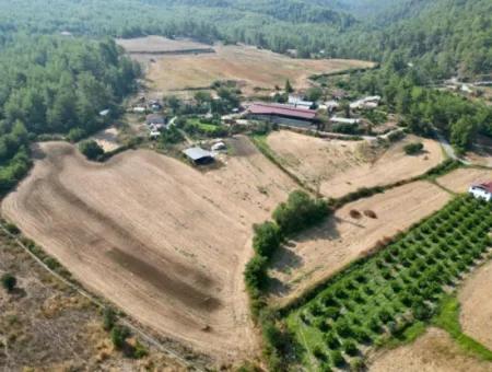 9743M2 Land For Sale In Dalaman Karacacağaç From Cesur Emlak:gdk428