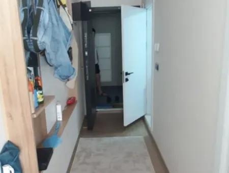 1 1 Fully Furnished Apartment For Rent Until June