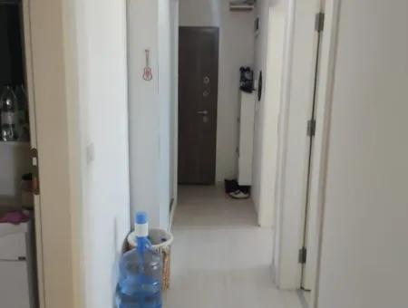 Cesur Emlak'dan 2 1 Apartment With Elevator For Sale Ref.code:6702