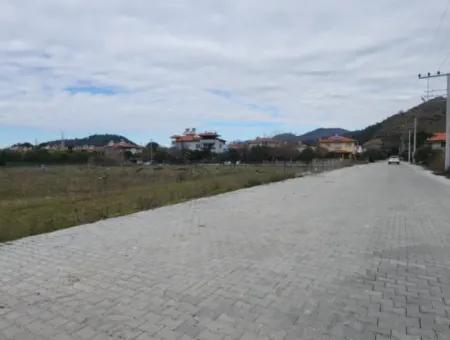 403M2 Plot With Daily Forest View For Sale From Cesur Real Estate