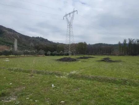 486M2 Plot Of Land With Daily Forest View For Sale From Cesur Real Estate