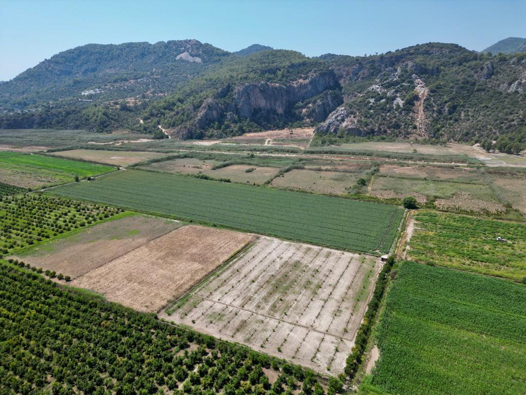 Ortaca Güzelyurtta Satılık 33165M2 Boş Tarla
