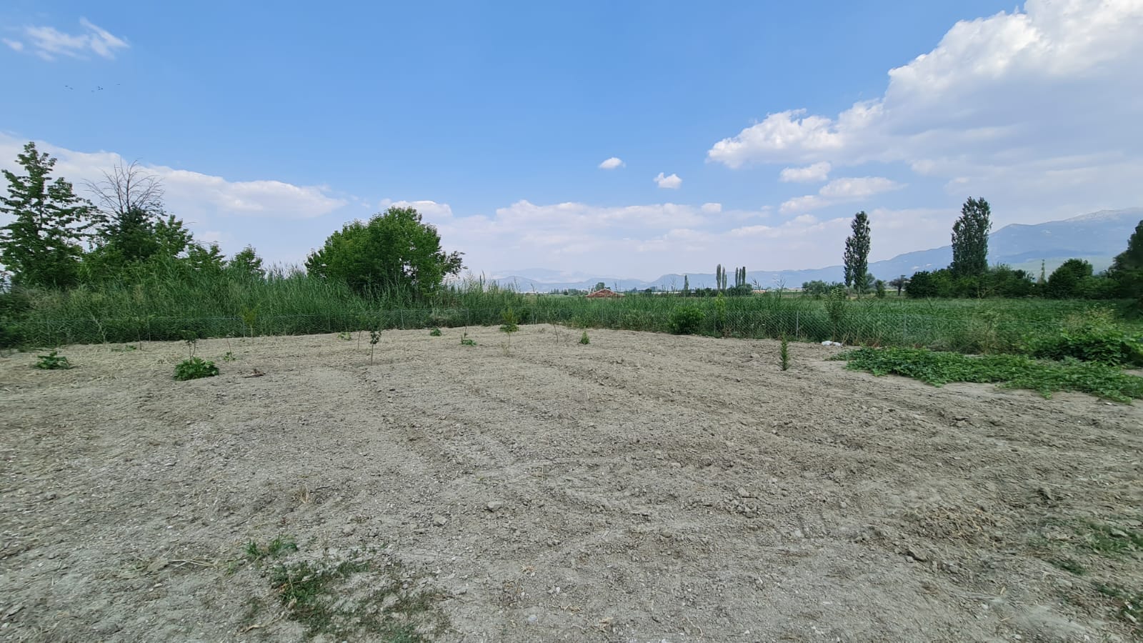 Burdur Gölhisar Armutlu da Satılık Müstakil Ev
