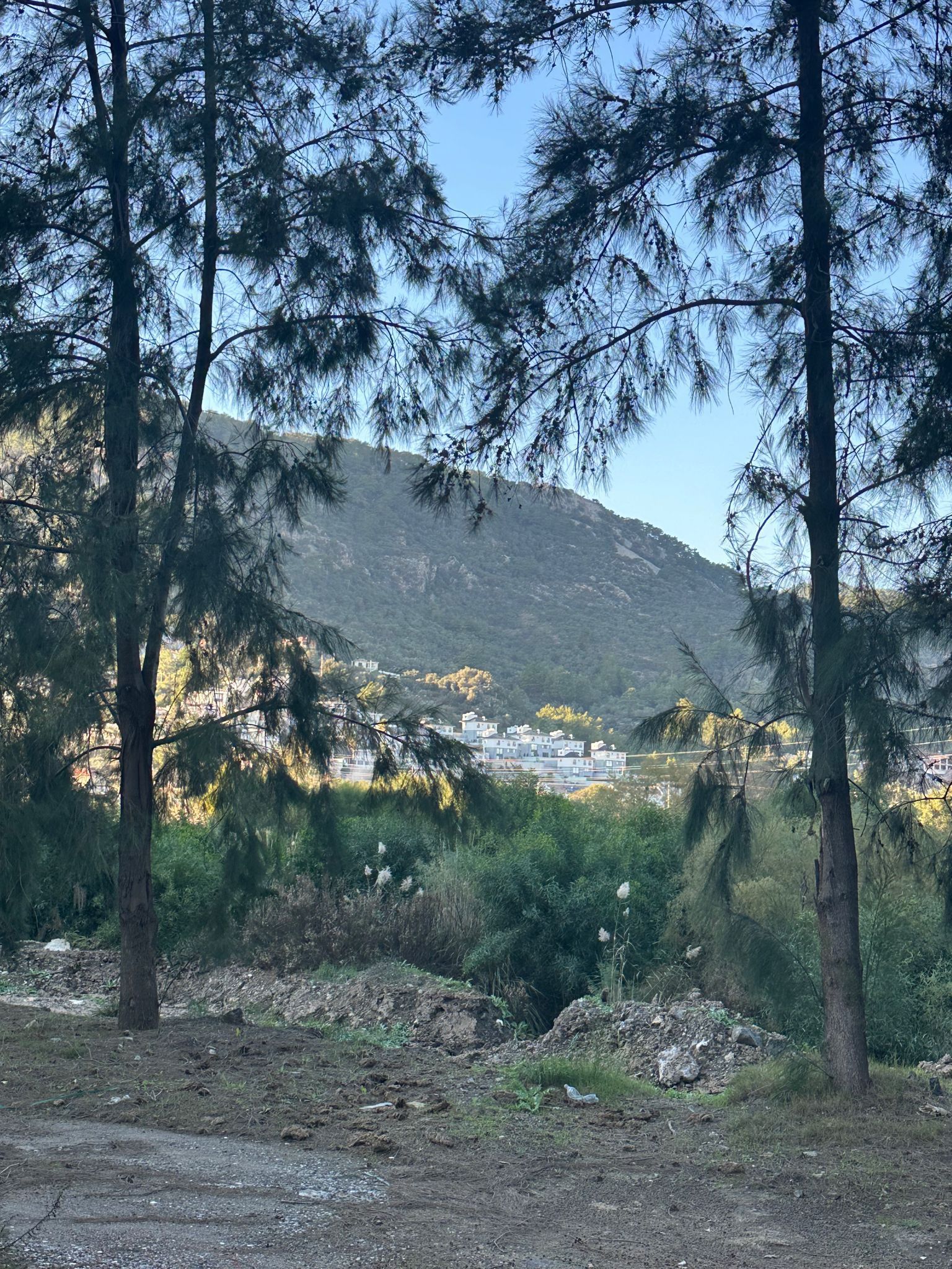 Cesur Emlak'tan Satılık 505m2  Sarıgerme'de Arsa Ref.Kodu:KAE