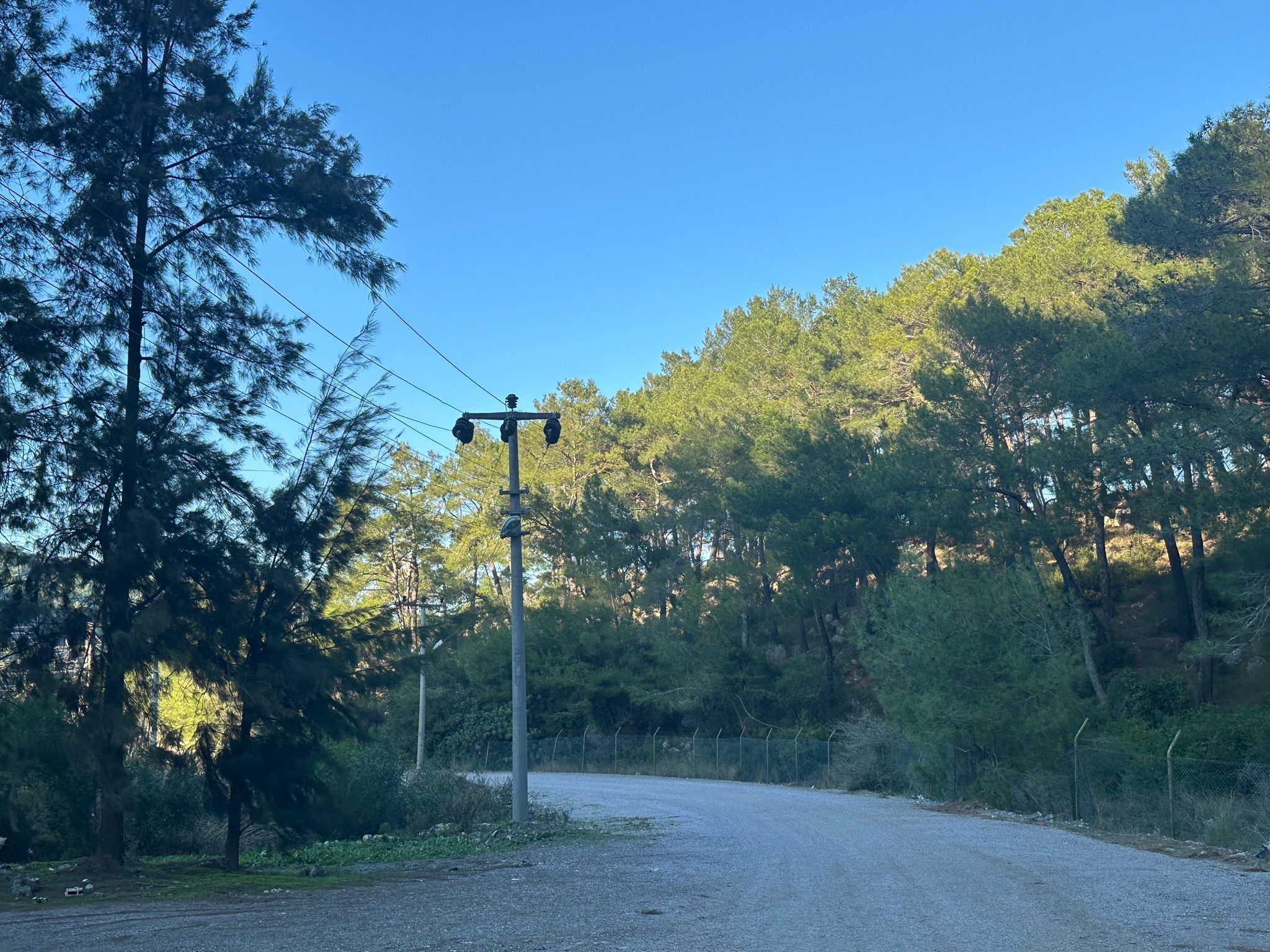 Cesur Emlak'tan Satılık 505m2  Sarıgerme'de Arsa Ref.Kodu:KAE