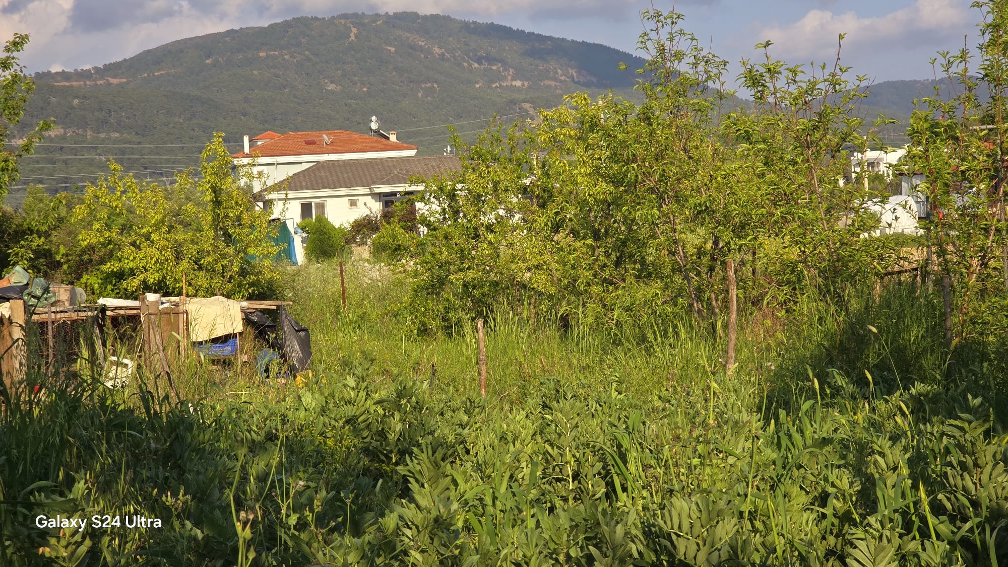 Cesur Emlak'tan Satılık Hürriyet Mahallesin de 433m2 Arsa