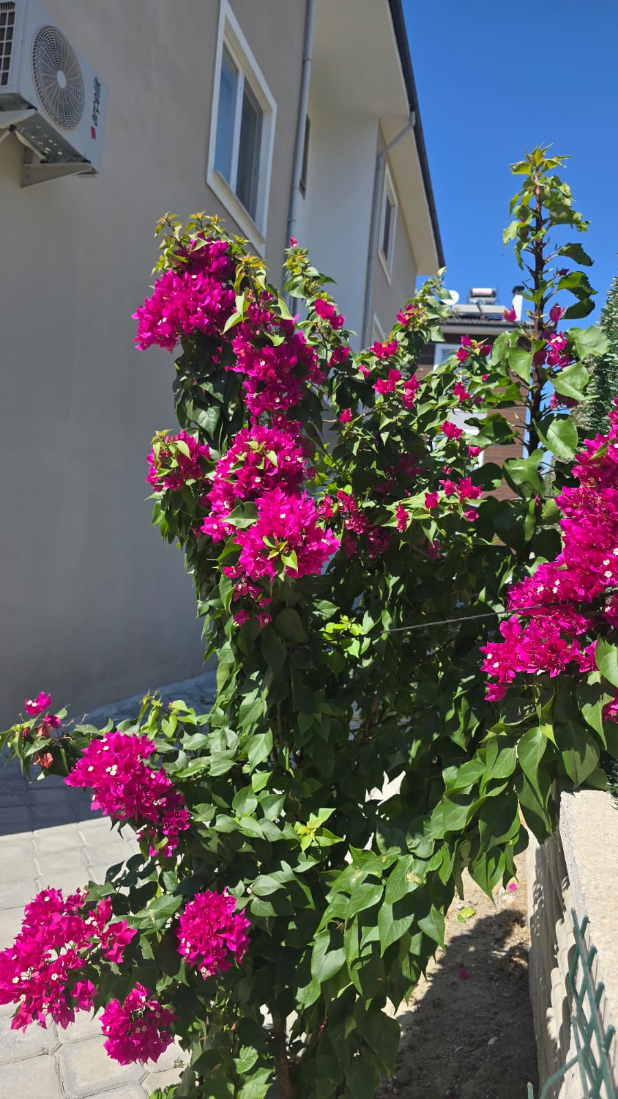 Kiralık 1+1 Daire – Dalaman Söğütlüyurt’ta Havuzlu Site İçinde!