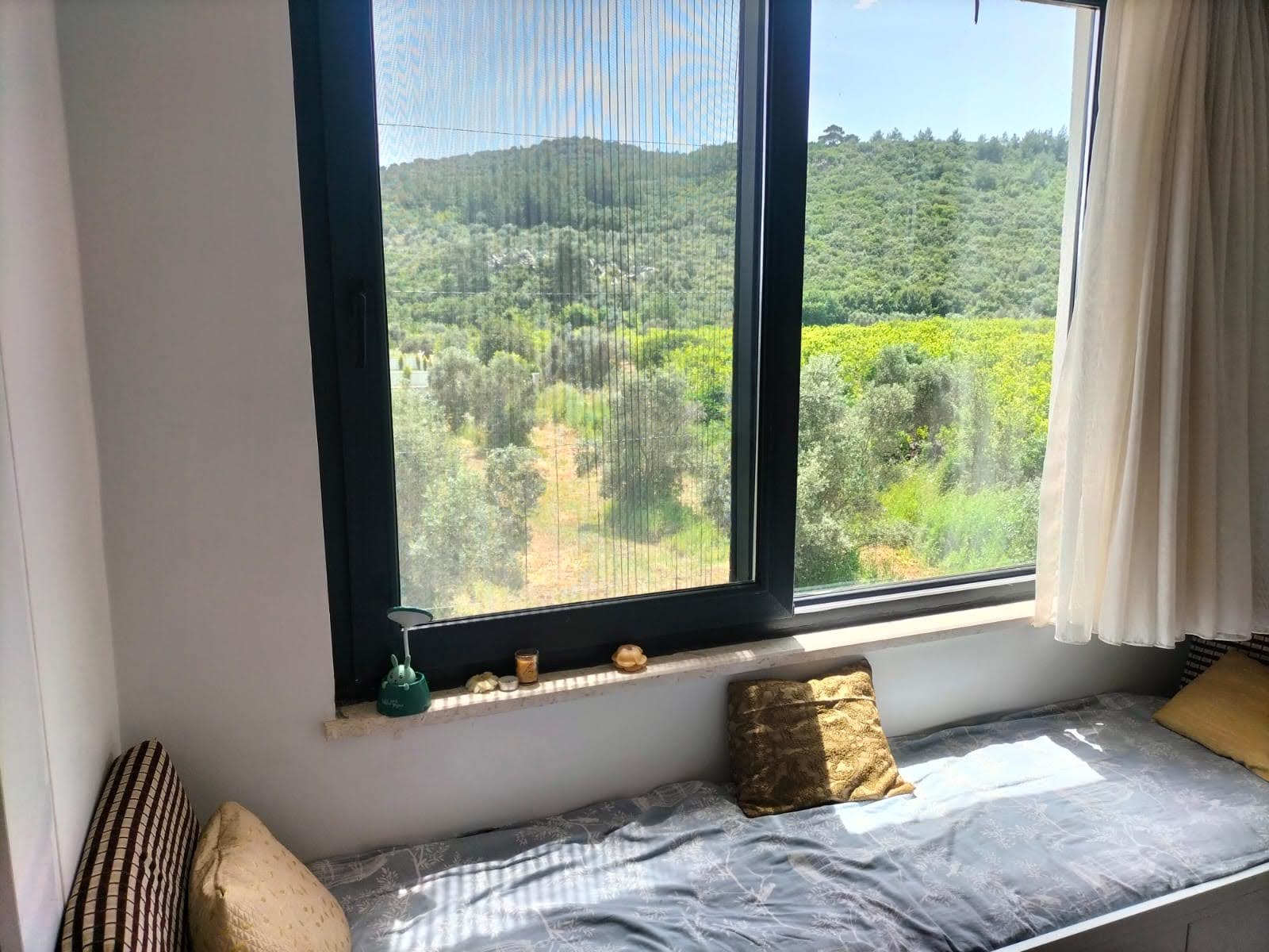 1887m² Arsada, 250m² Kullanımlı Özel Havuzlu Satılık Villa – Ortaca Fevziye 