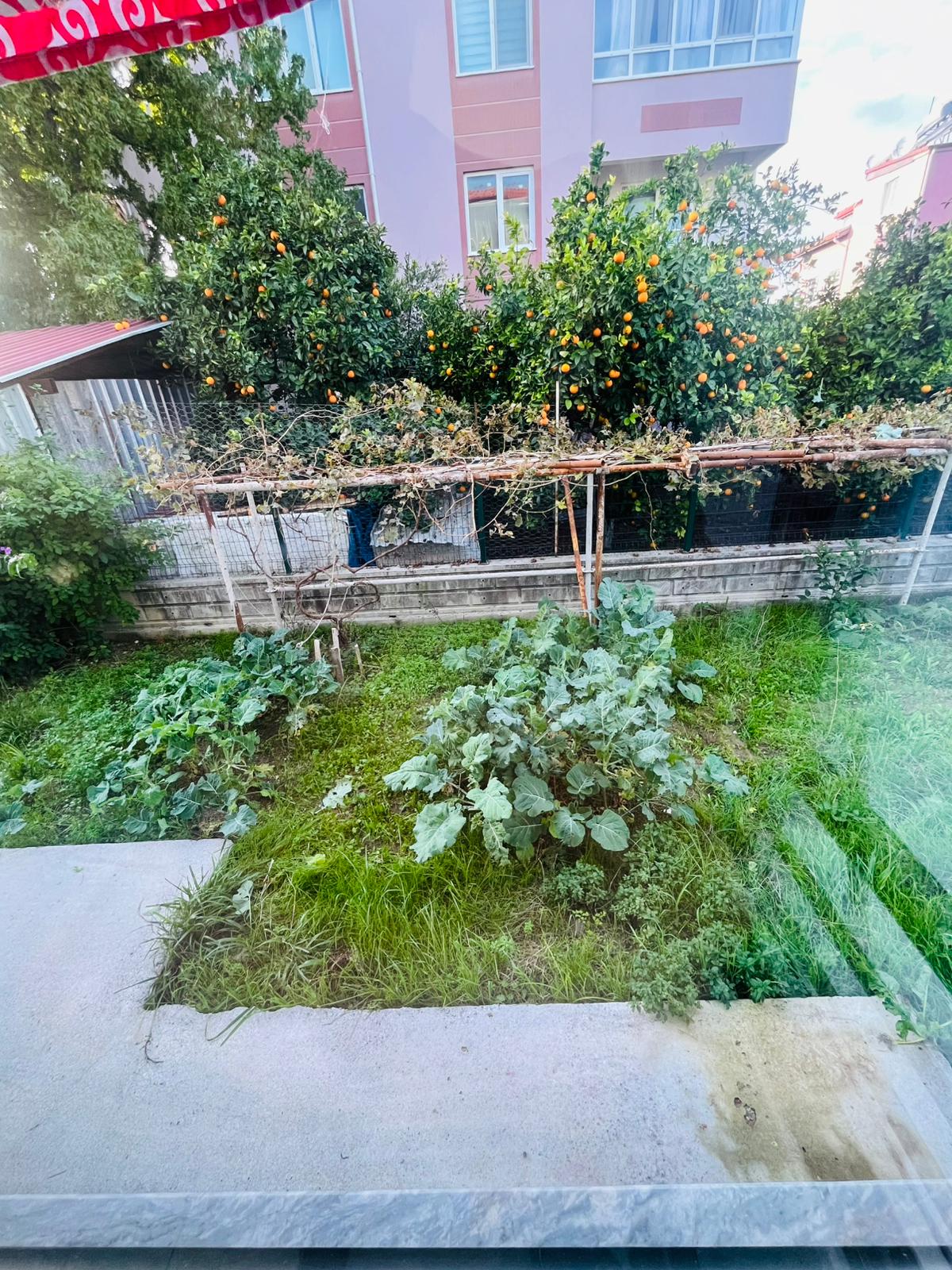 Kapalı Balkonu ve Geniş Yaşam Alanlarıyla 3+1 Özel Daire