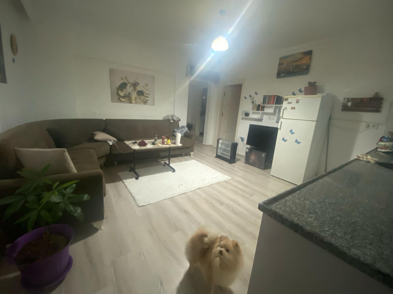 Cesur Emlak'tan 2+1 Kısmi Eşyalı Satılık Daire RefKodu:7358